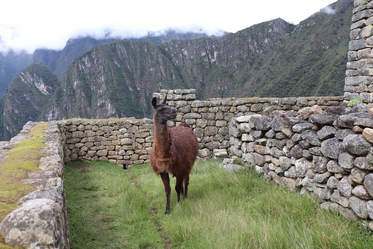 Que-es-Macchu-Picchu-ciudad-santuario-inca-2