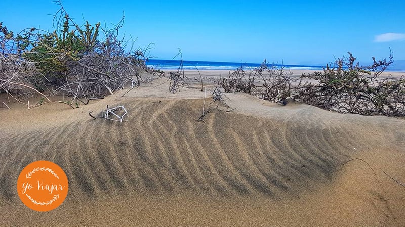 Que-ver-en-Fuerteventura-viajar-por-la-isla-de-norte-a-sur-5